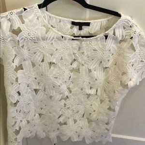 White Flower Top